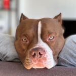 448134578_1152311966046224_8722623034775828520_n