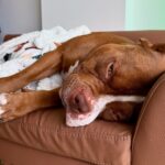 495231302_17958283478926549_6666228709165258026_n