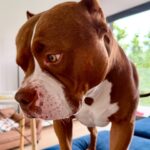 495921246_17958524135926549_4693405391268077635_n