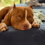 495962560_17958700109926549_8274016954438471239_n