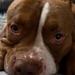 496055750_17959184246926549_5586552020059167958_n