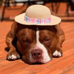 497233066_17959250675926549_5987442318363073394_n