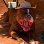 497349421_17959472432926549_5990064298187029747_n