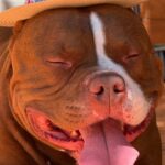 497550449_17959599059926549_5616313200032628081_n