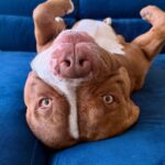 499243925_17959939952926549_2285292401972949950_n