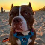 499567458_17960276306926549_4893131830906463779_n