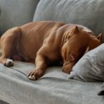 500806463_17961000251926549_4009336988764270525_n