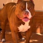 503576485_17961823745926549_8634520544644443571_n