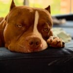 503638410_17963997770926549_7918639550895949982_n