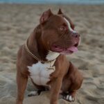 503644513_17964427667926549_3030261461292785998_n