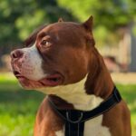 504095723_17963106149926549_3574250535667999669_n