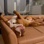 504441827_17963738684926549_5764746341821534061_n