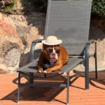 505365484_17963662892926549_4781012813407277828_n