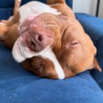 505435029_17962904441926549_4206508114586004511_n