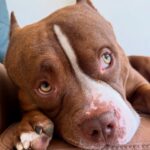 506365681_17964202997926549_3341599524441679588_n (1)