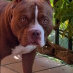 514667432_17964966008926549_458635269327264535_n